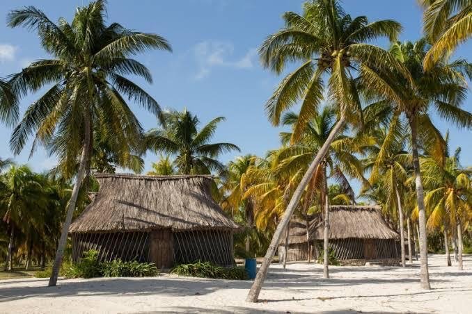 cfba8b29-ff2c-447e-baa6-6237982e7550