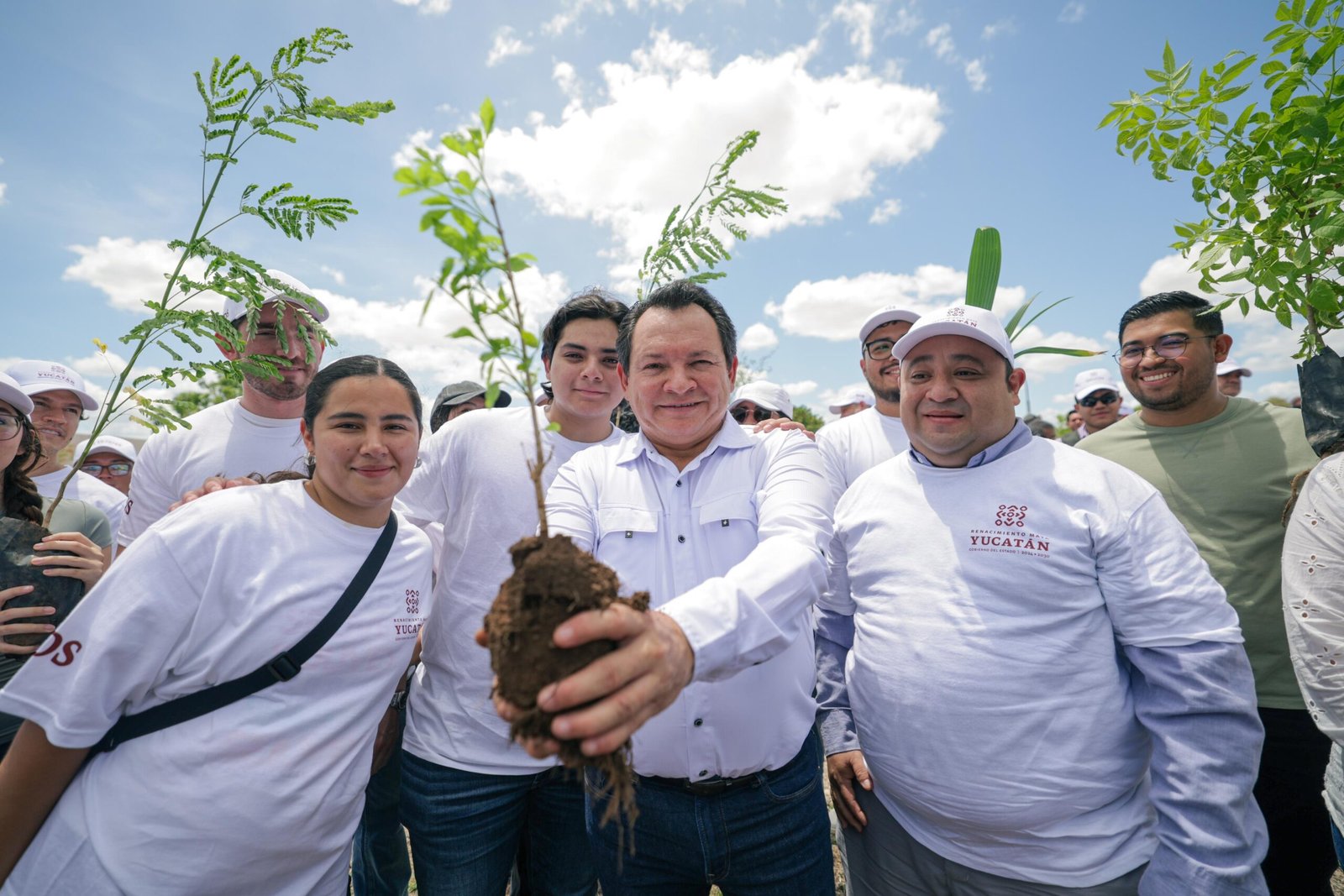 Yucatán apuesta por un futuro verde con la siembra de más de un millón de árboles nativos 