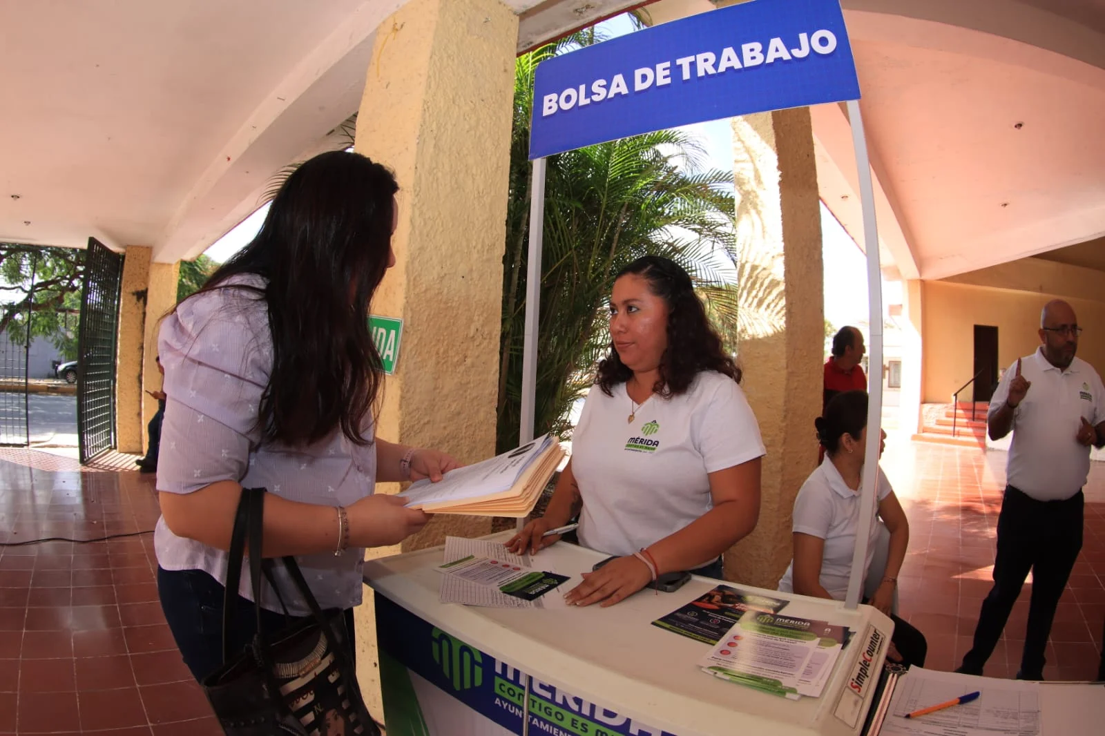 Mérida: la capital con menor desempleo en México, afirma Cecilia Patrón