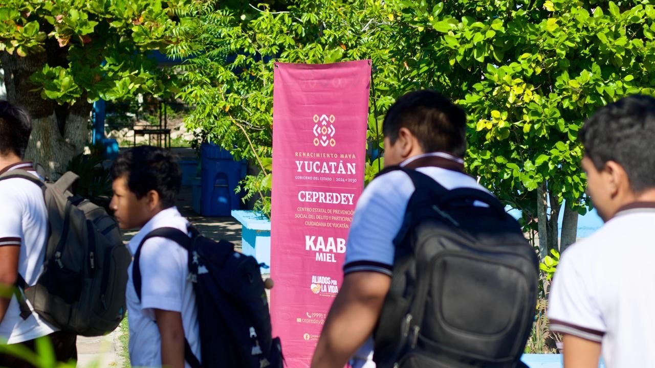 3de3e657-f5cf-484d-99a8-acfe51d2992e