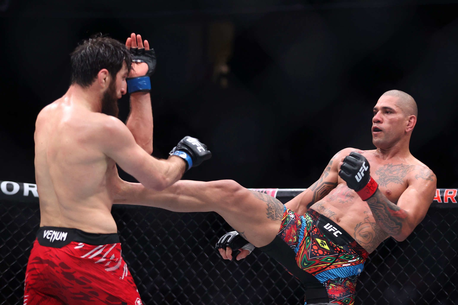 Tensión máxima rumbo a UFC 320: Pereira y Ankalaev intensifican rivalidad