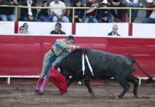 Luis David Adame sale a hombros y Diego Silveti corta una oreja en triunfal tarde en Uriangato