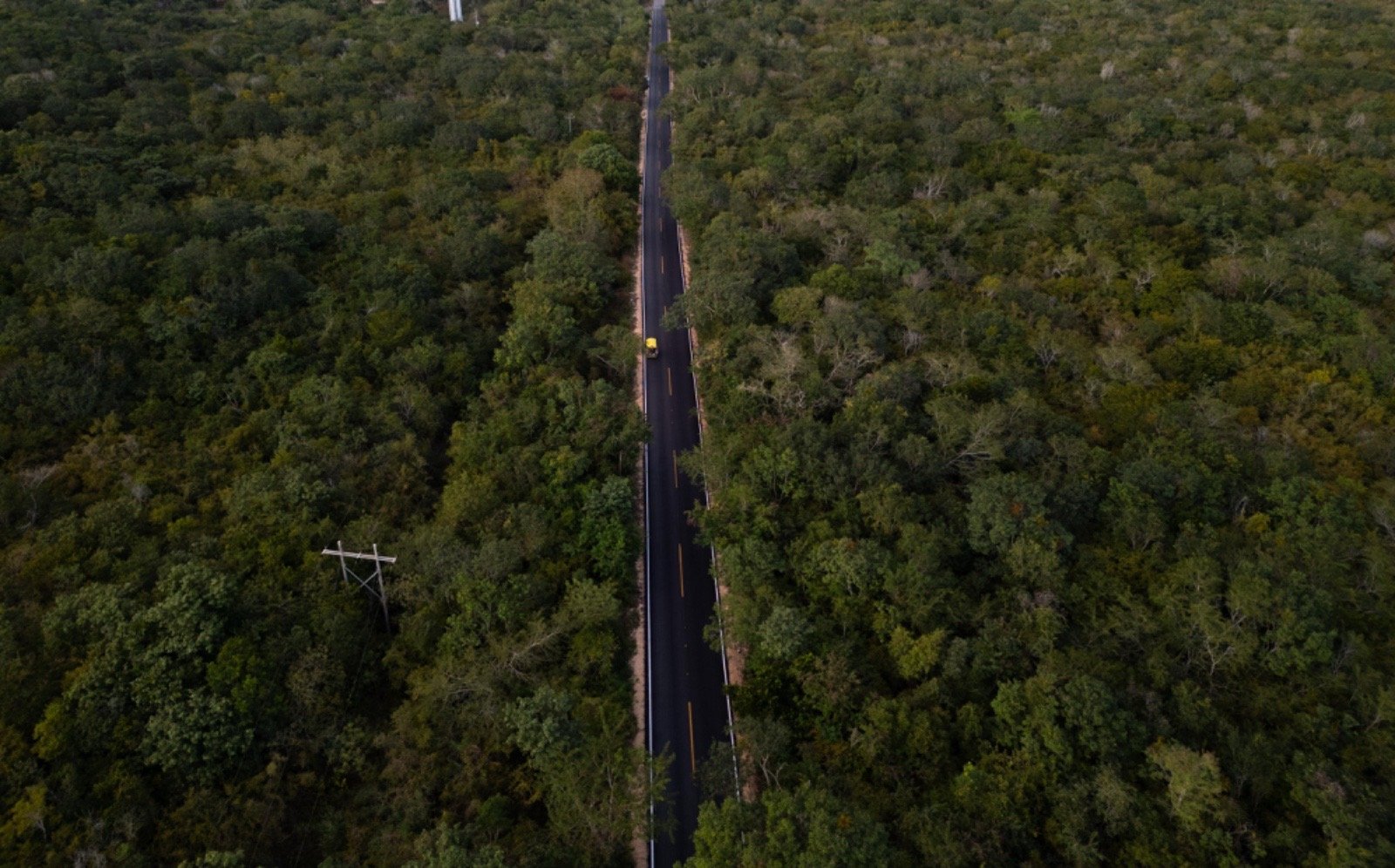 d88d564f-4b3e-4578-9e3f-6098c328c471