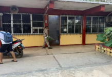 Tras siete años de calma, reaparece el chikungunya en Yucatán