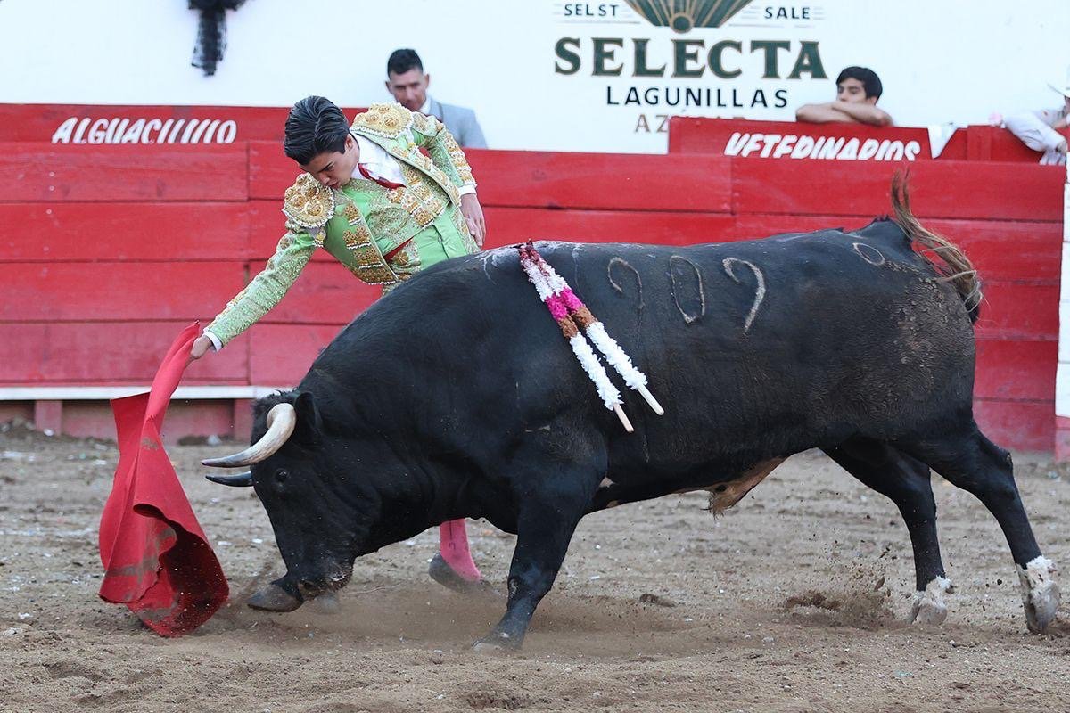 18b53923-fa2b-482f-929e-8a3fb1bad827