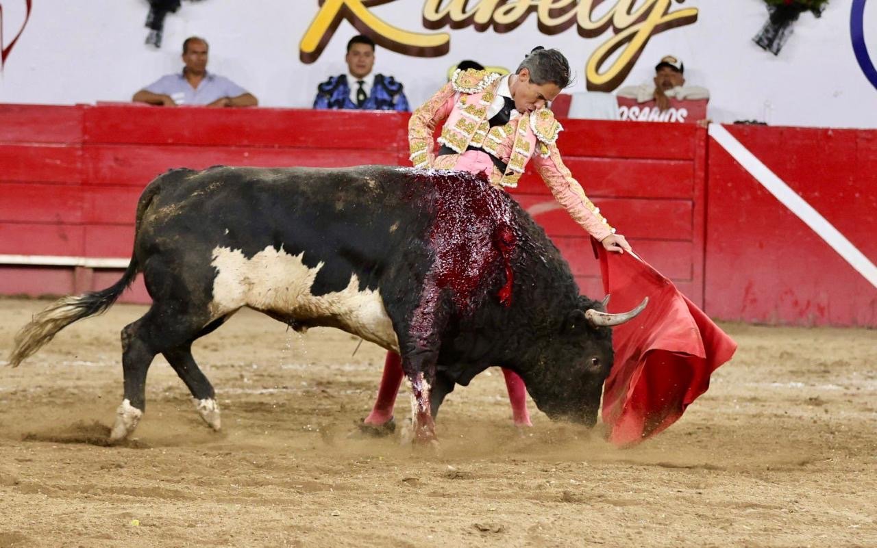 8d0938b6-3a0e-42da-aa0b-ee4f455b68bc