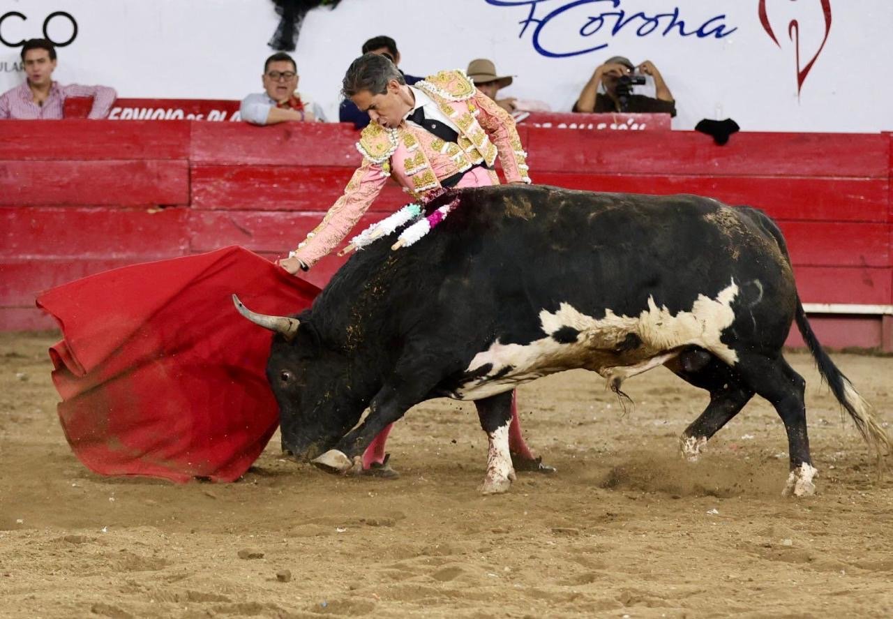 8e7b8761-959b-4d67-a19c-2a2a16c0fd24