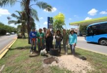 Mérida actualiza su Plan de Infraestructura Verde para consolidar una ciudad más sostenible y ecológica