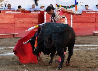 DIEGO SILVETI PONE EN EBULLICIÓN EL CIERRE DE AUTLÁN E INDULTA UN GRAN TORO DE SAN CONSTANTINO.