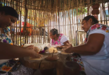 Yucatán, segundo lugar nacional en población que habla lengua indígena: el peso de la cultura maya