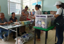 Cecilia Patrón pide un análisis profundo antes de fijar postura sobre la Reforma Electoral