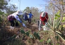 Yucatán y Campeche eliminan fronteras por la conservación