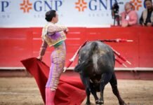 Bruno Aloi da una vuelta al ruedo en Guadalajara