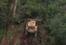 Se logra vinculación a proceso por delitos ambientales en la Reserva Cuxtal