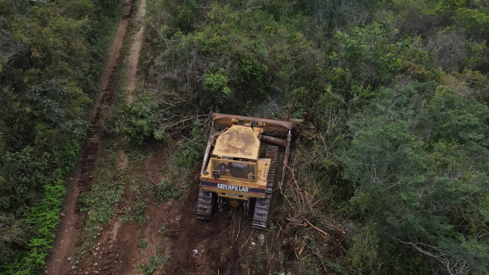 Se logra vinculación a proceso por delitos ambientales en la Reserva Cuxtal