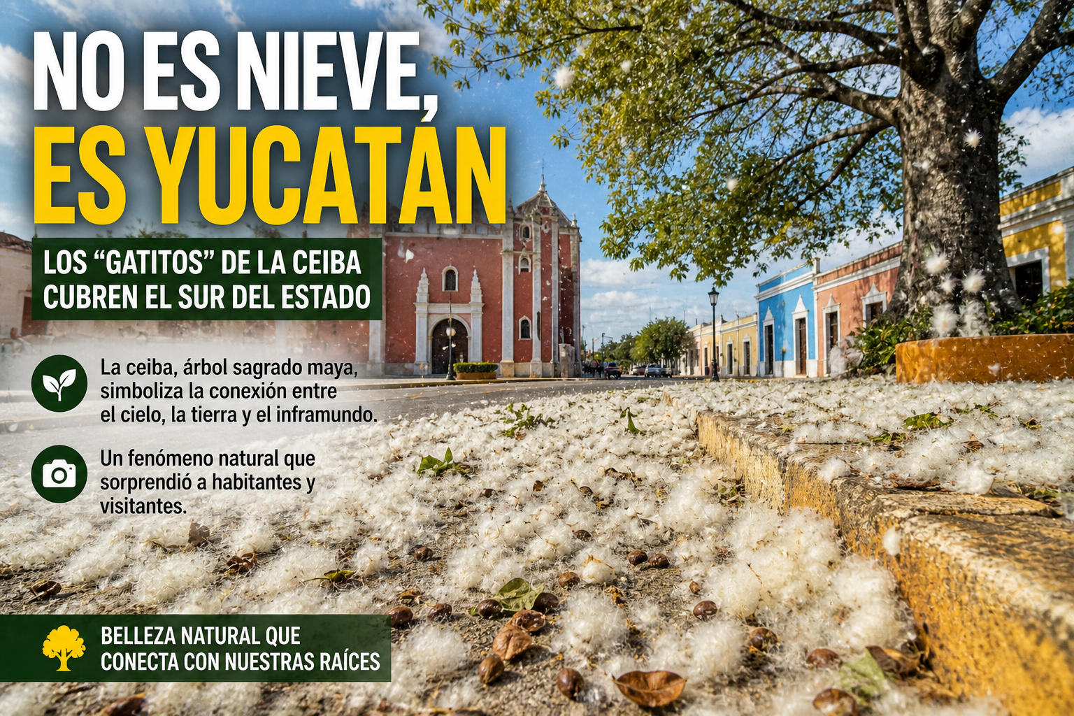 “Gatitos” de la ceiba cubren el sur de Yucatán y reavivan el simbolismo del árbol sagrado maya