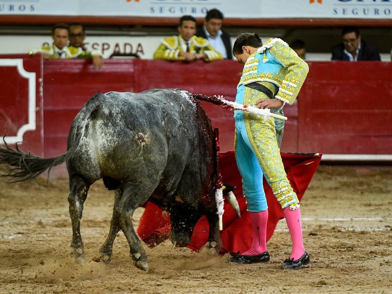 Bruno Aloi corta oreja en Aguascalientes antes de confirmar en Madrid