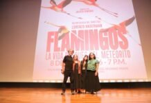 Documental sobre flamencos yucatecos llena el Gran Museo del Mundo Maya en Mérida