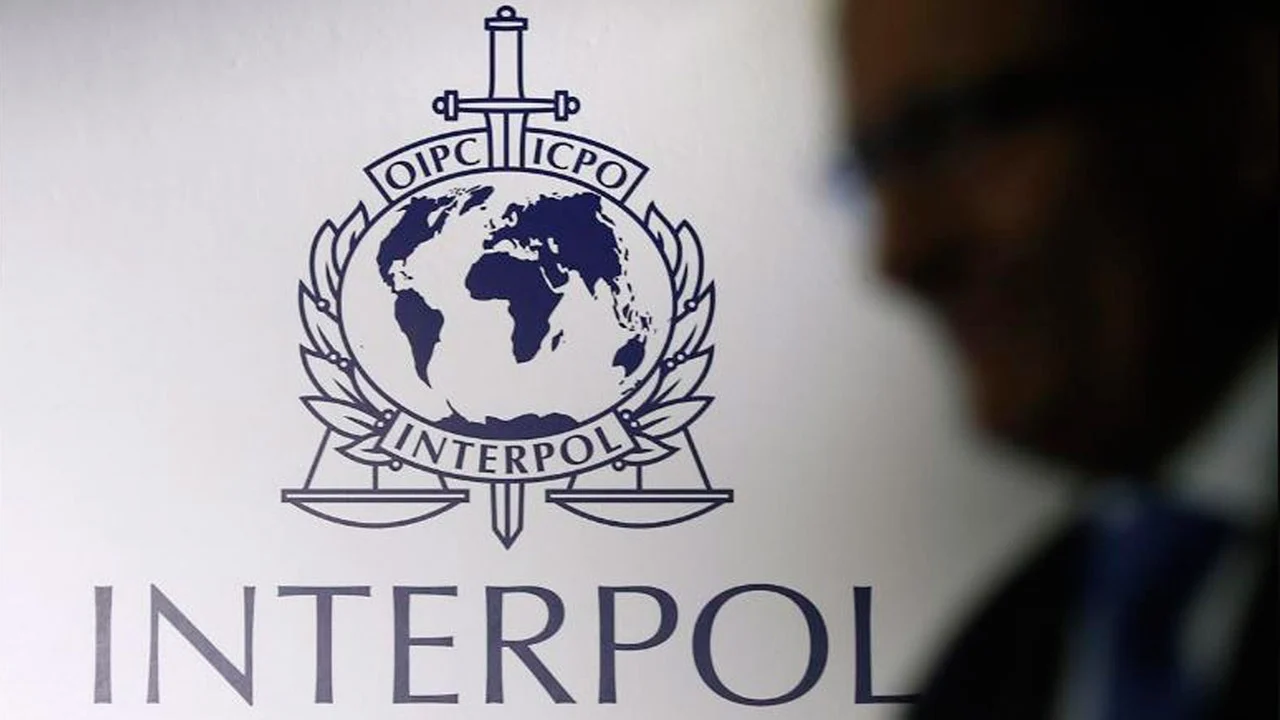 Interpol y Marina detienen en Escárcega a dos hombres buscados por narcotráfico en Estados Unidos