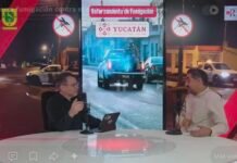 Dengue en Yucatán: refuerzan fumigación en los 106 municipios y destacan éxito de los “mosquitos buenos”