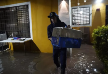 Rescatan a más de 40 mascotas en Mérida tras lluvias que afectaron la ciudad