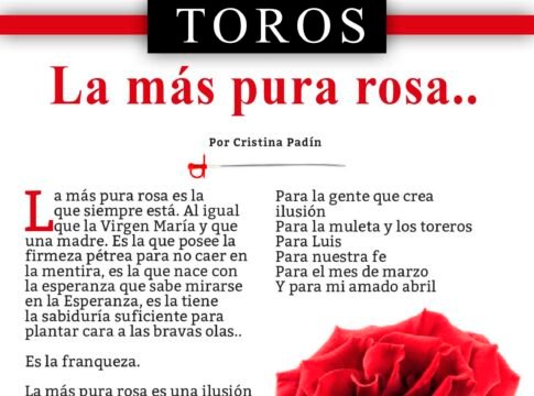 La más pura rosa..