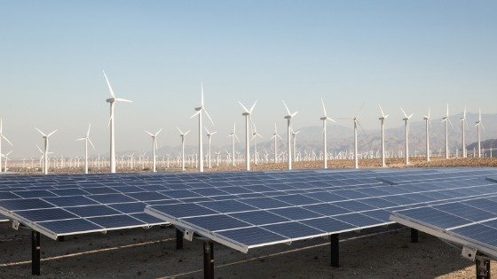 Los CEL’s, en la intersección entre competencia y sostenibilidad