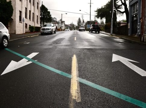 El camino que elegimos