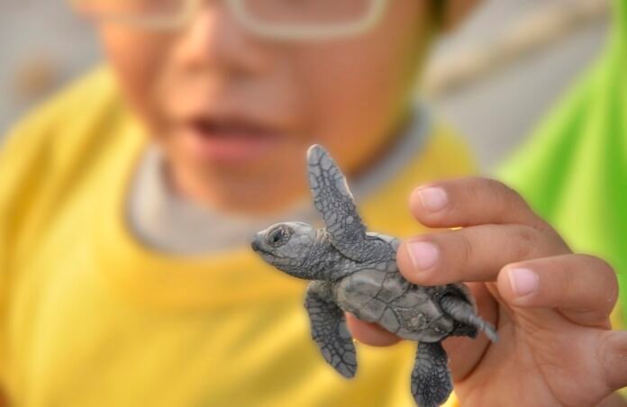 2da18c8c1be5a799d36a9da6beaf2f54