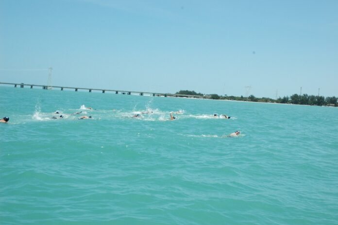 2de5fd2f4abcad4d8d4fa4d4cf9aead8