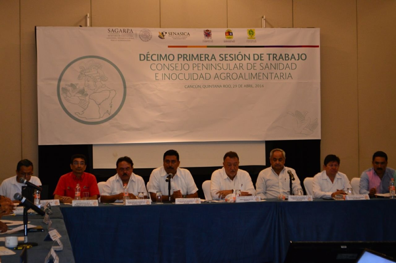 Titular de  SEDER de Yucatán, nuevo presidente del Consejo Peninsular de Sanidad e Inocuidad Agroalimentaria