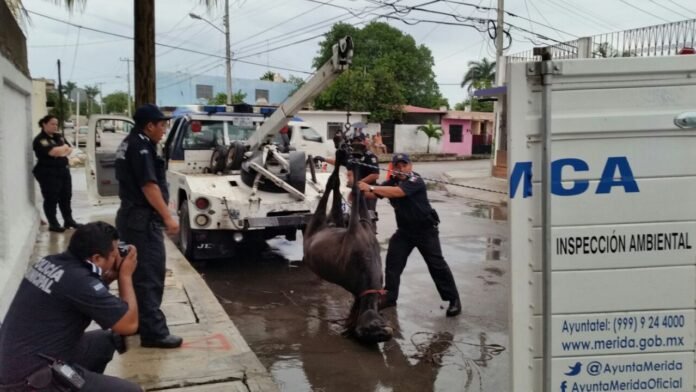 35c7126b7e643f22f1a6cb2ccc03a8a1