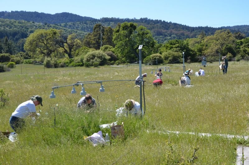 Experimento descarta Tierra más verde por el calentamiento