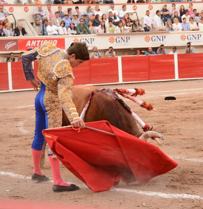 3a8c6d9effc5ab5703904f508bc6aa4f