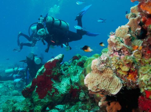 Regenerarse cada día