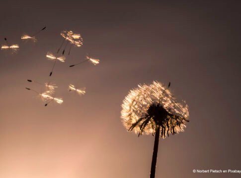 La pareja XII: Relación Temporal