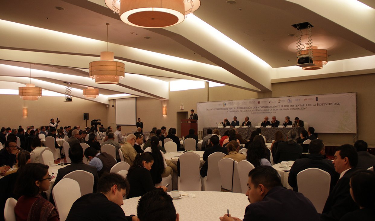 Prepara México hoja de ruta para abordar la integración y uso sustentable de la biodiversidad en la COP13