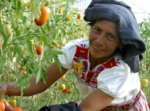 Me afligen los martirios