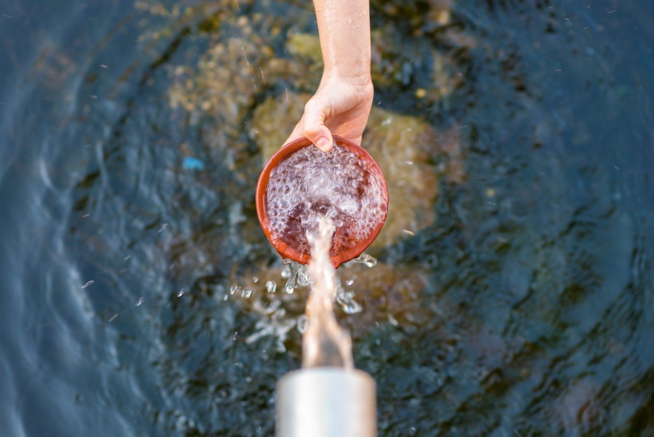 La vital importancia del agua