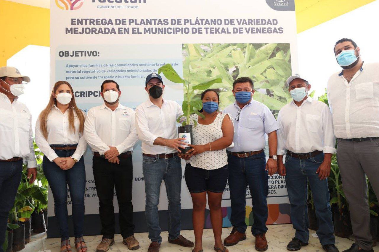 Apoyos para impulsar el campo yucateco llegan a productores de Tekal de Venegas