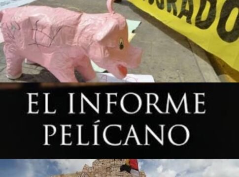 Homún; el Informe pelicano