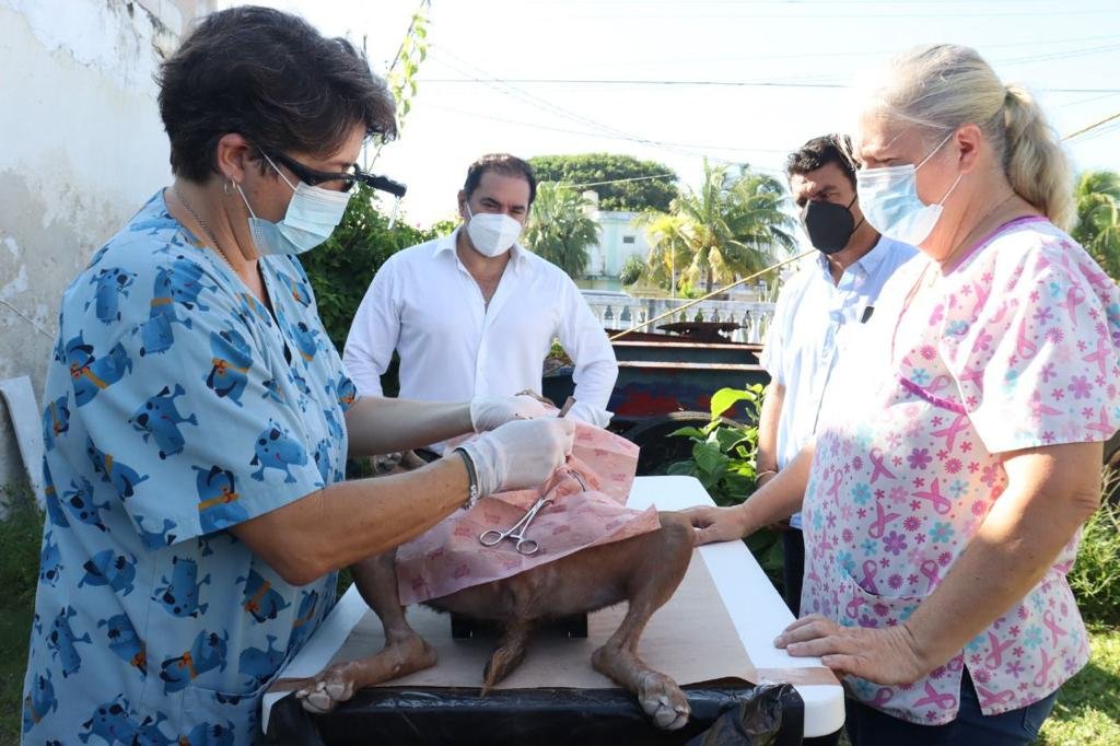 Unidad de comunicación social Ayuntamiento de Progreso