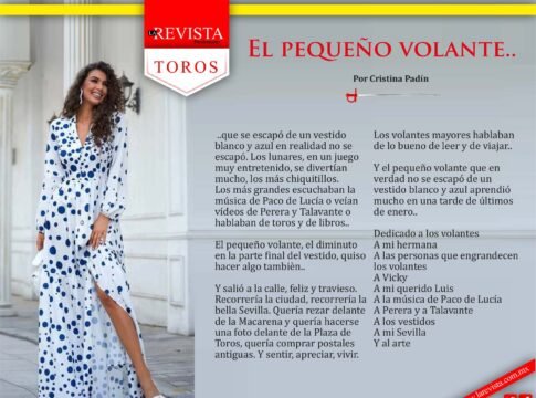 El pequeño volante...