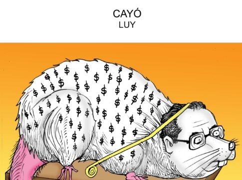 Nadando entre tiburones