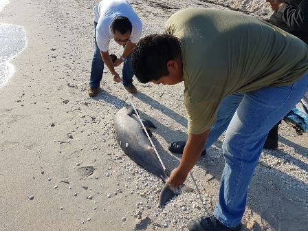 55c35fd1ac5b310d1b3afae1950e0298