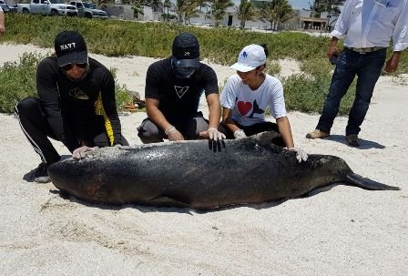 5c81bbc01abcd8b0b0bcf84478b934e2