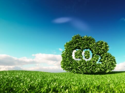 Un futuro neutro en carbono
