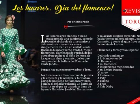 Los lunares.. Día del flamenco!
