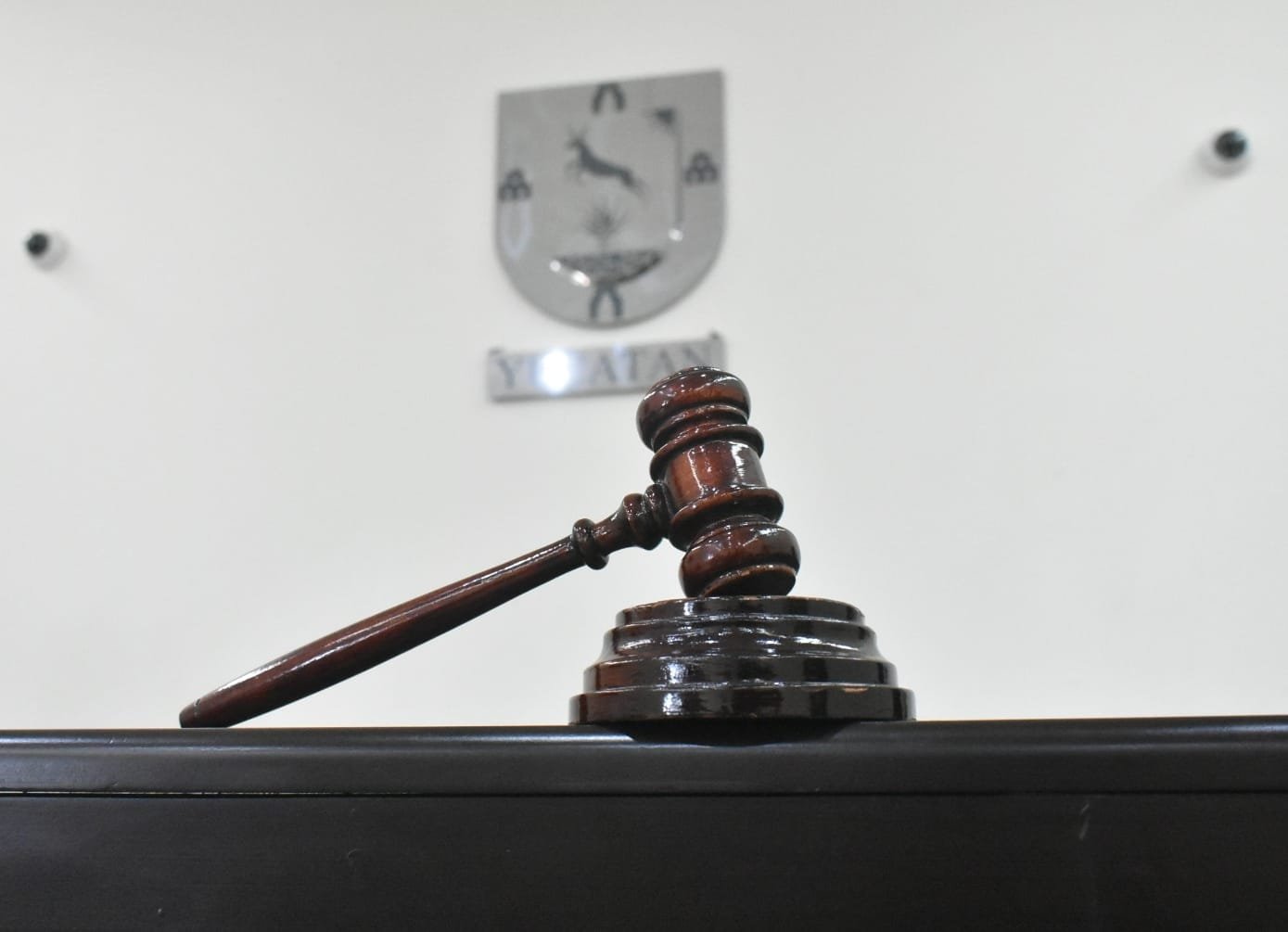 Sentenciado a pena de prisión por crueldad animal