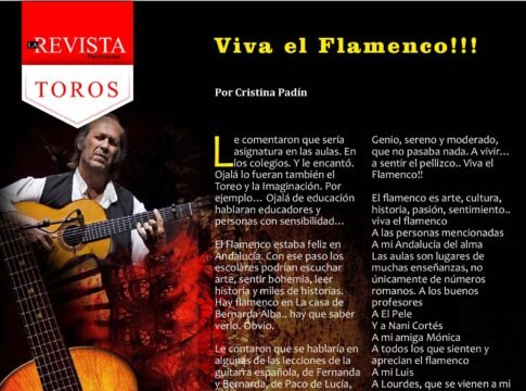Viva el Flamenco!!!